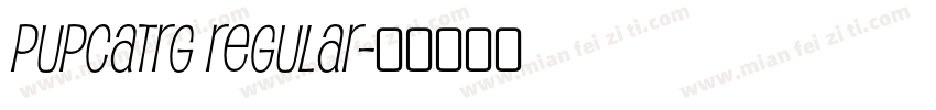 PupcatRg Regular字体转换